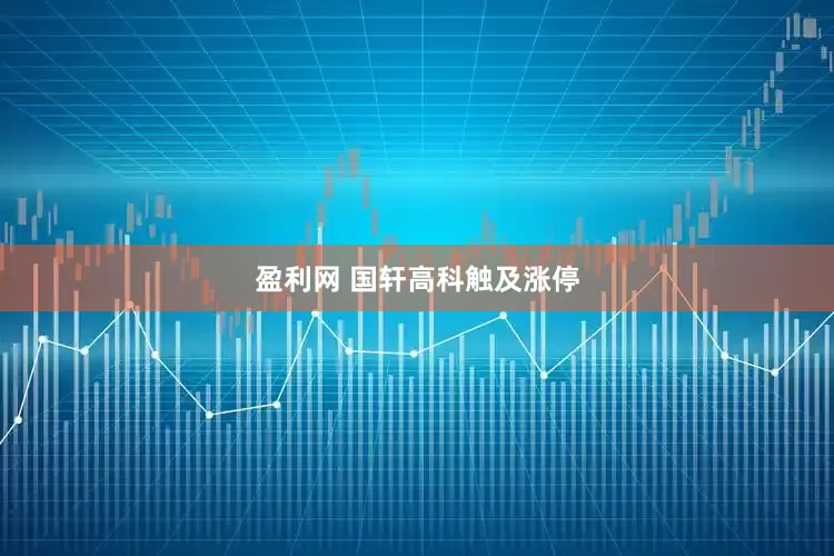 盈利网 国轩高科触及涨停