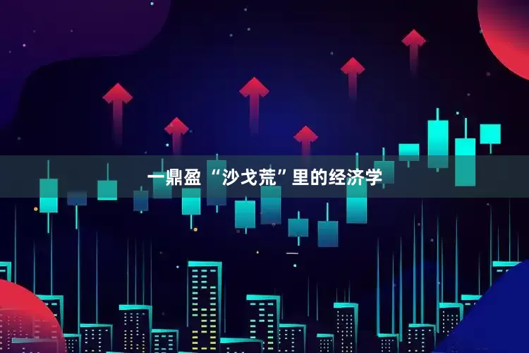 一鼎盈 “沙戈荒”里的经济学