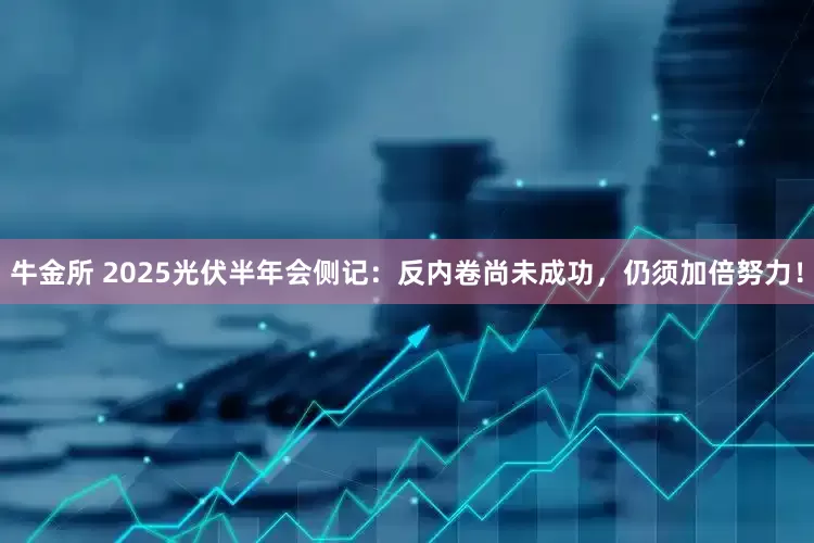 牛金所 2025光伏半年会侧记：反内卷尚未成功，仍须加倍努力！
