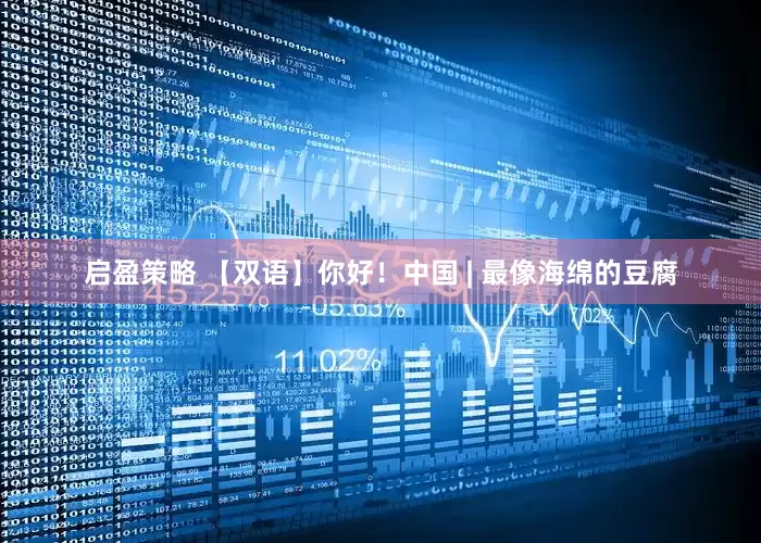 启盈策略 【双语】你好！中国 | 最像海绵的豆腐