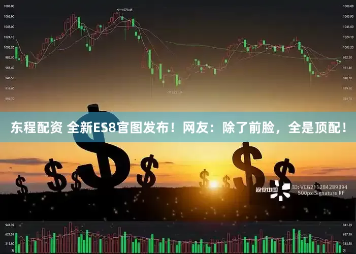 东程配资 全新ES8官图发布！网友：除了前脸，全是顶配！