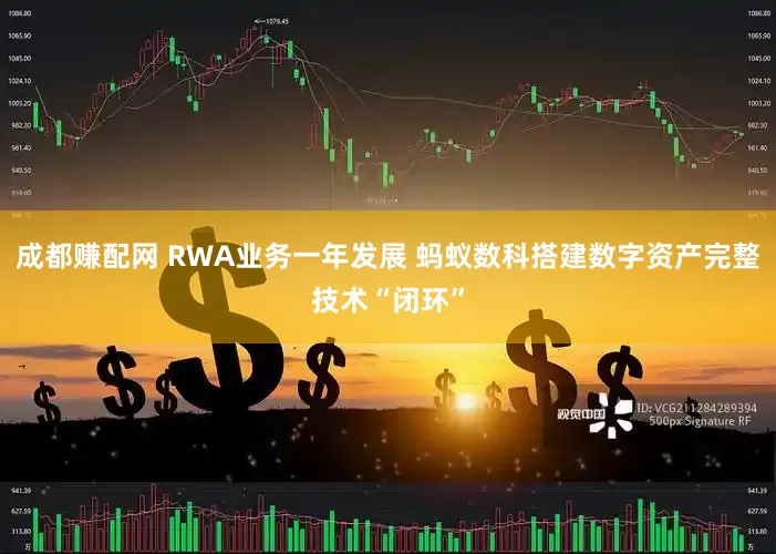 成都赚配网 RWA业务一年发展 蚂蚁数科搭建数字资产完整技术“闭环”